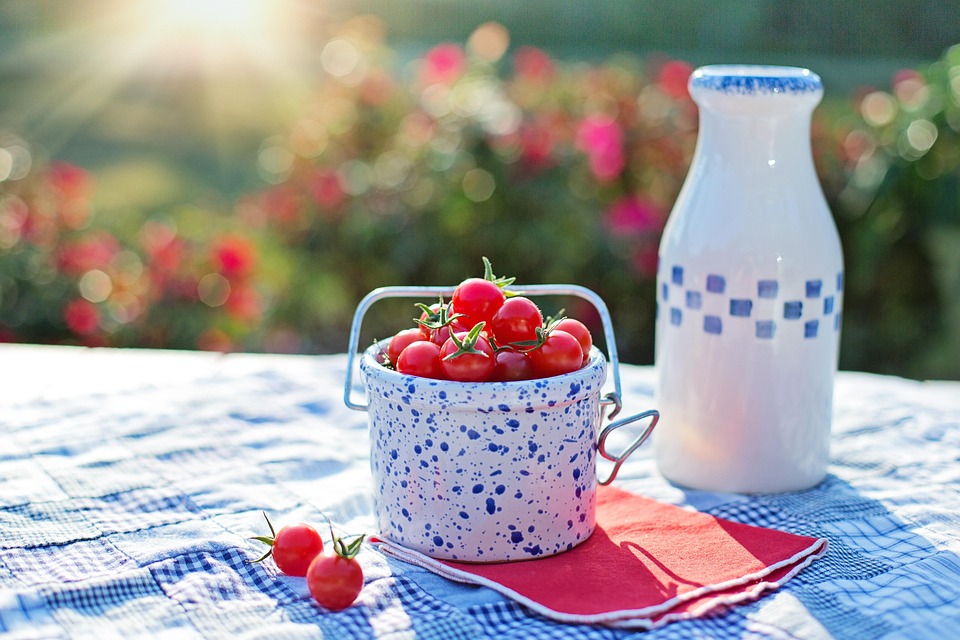 healty food diet women