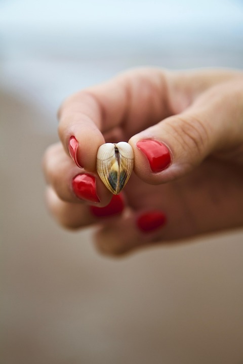 Cum să creezi un spațiu interior de pace și blândețe