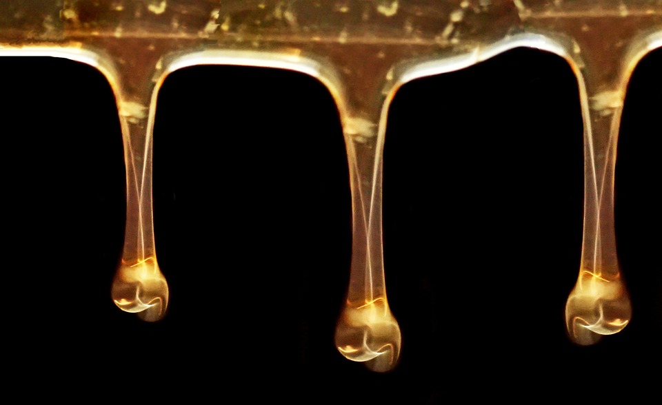 healty food diet women