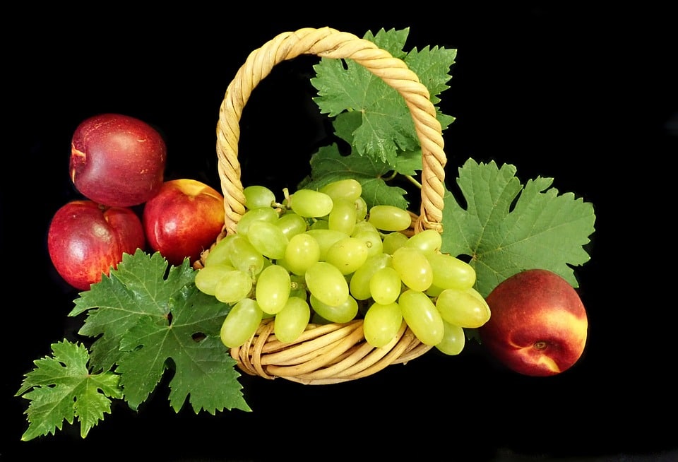 healty food diet women