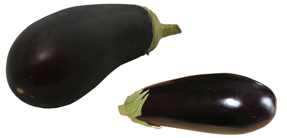 healty food diet women