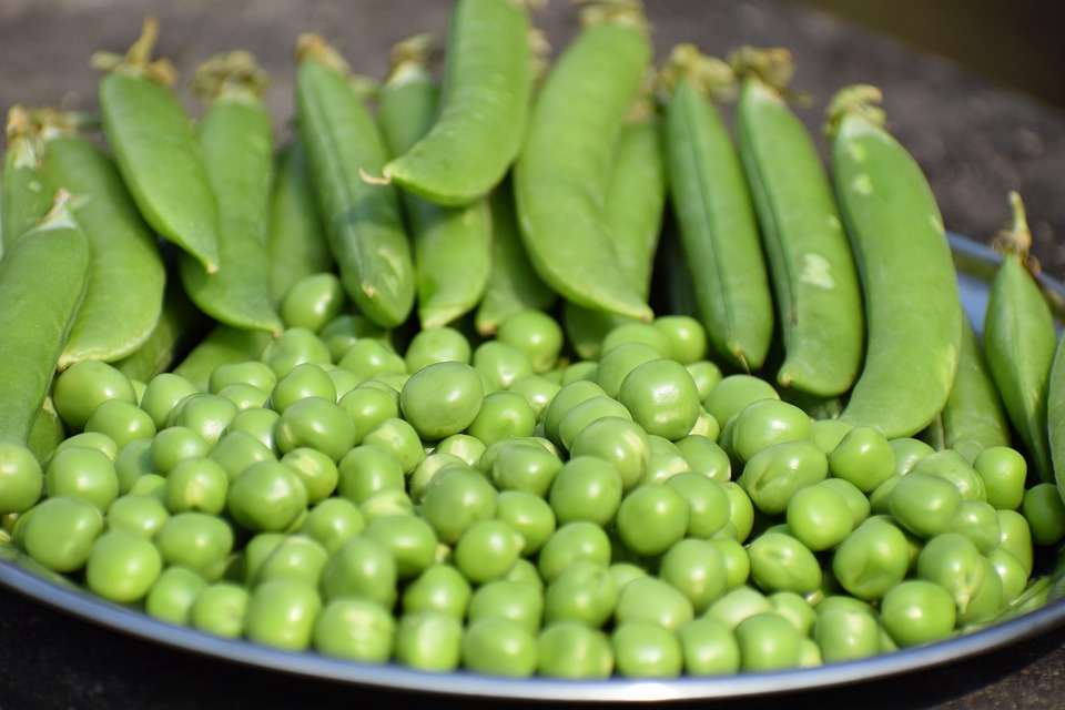 healty food diet women