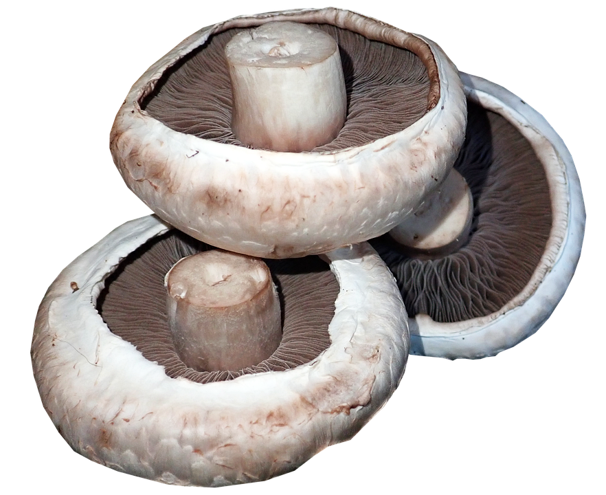 healty food diet women