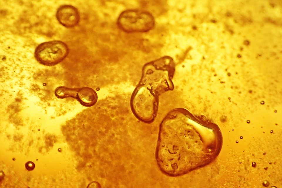 healty food diet women