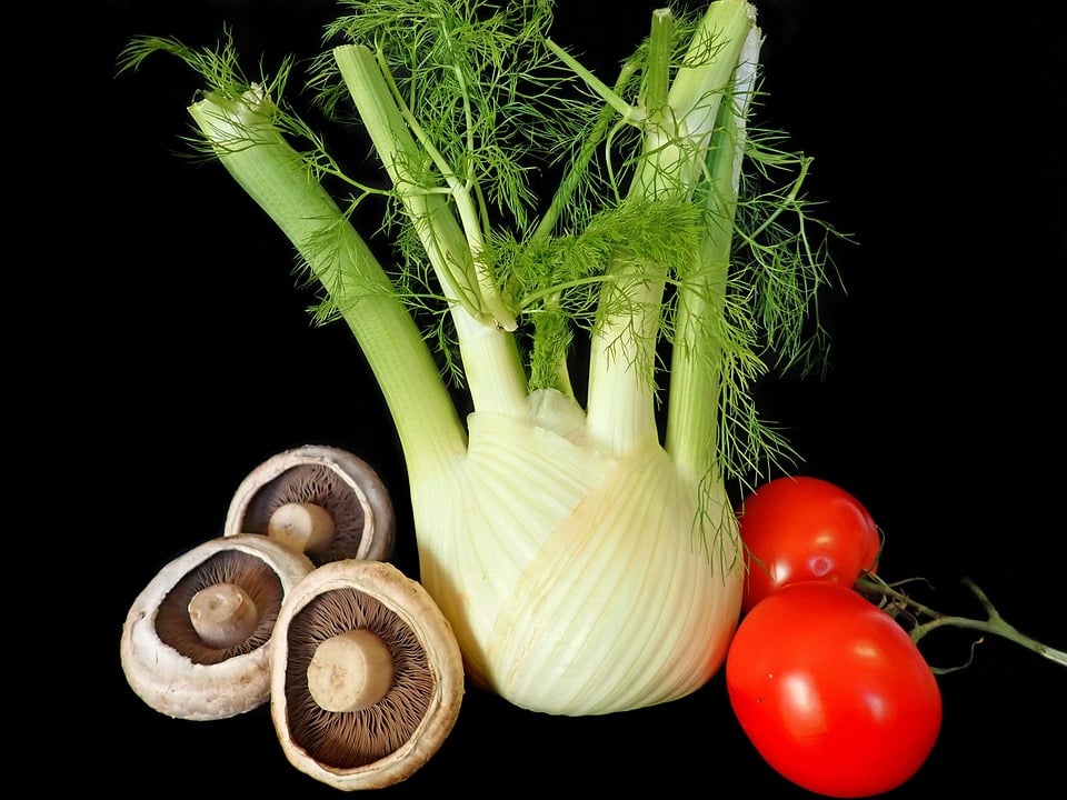 healty food diet women