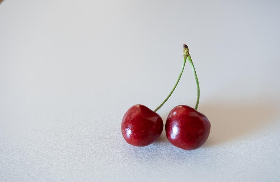 healty food diet women