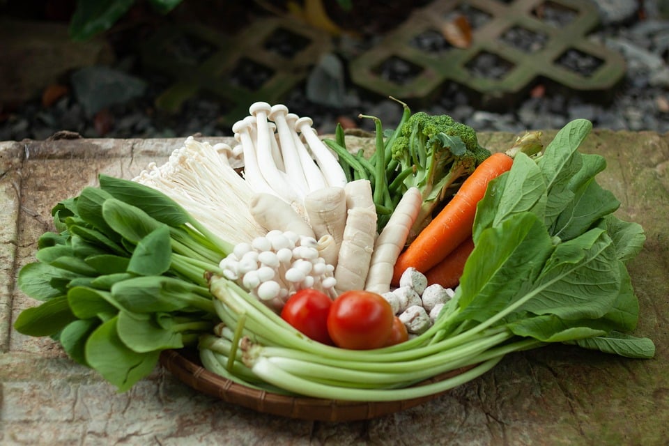 healty food diet women