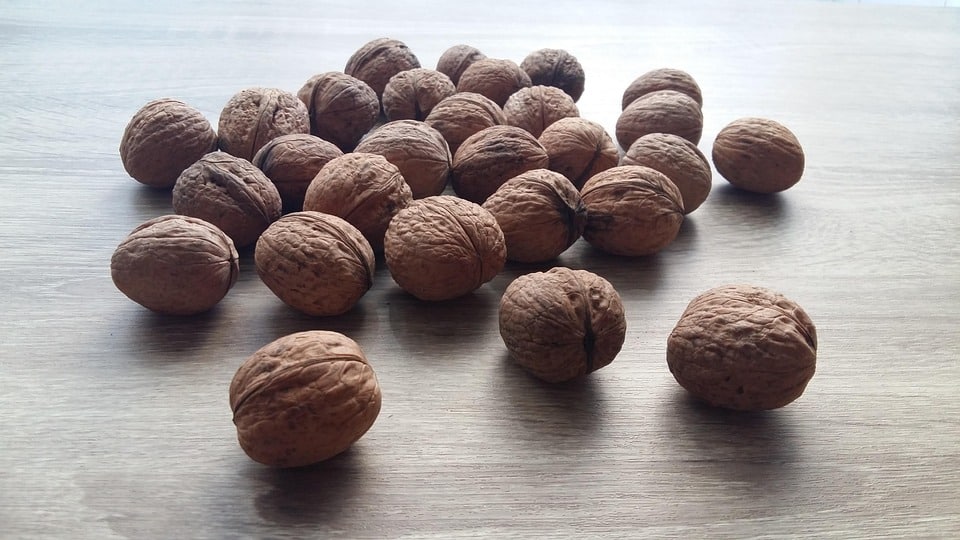 healty food diet women