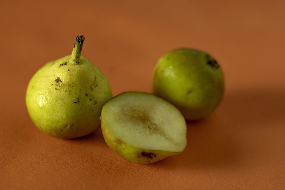 healty food diet women