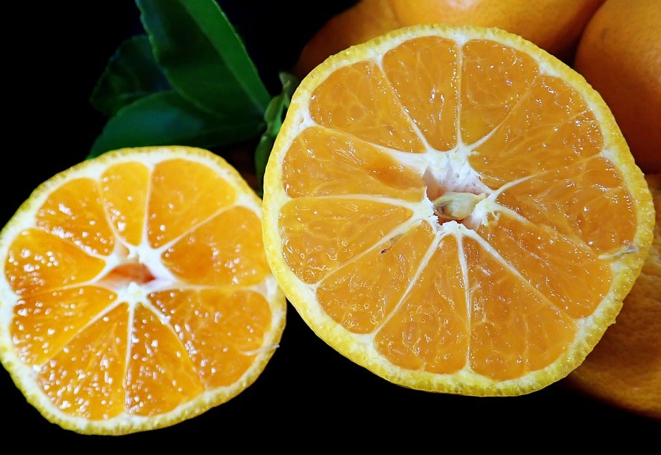 healty food diet women