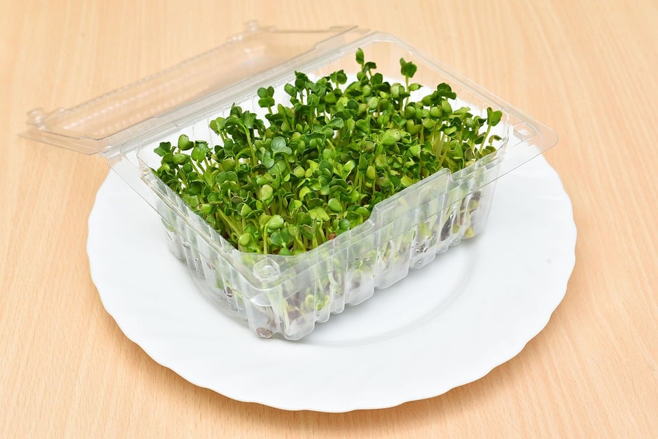 healty food diet women