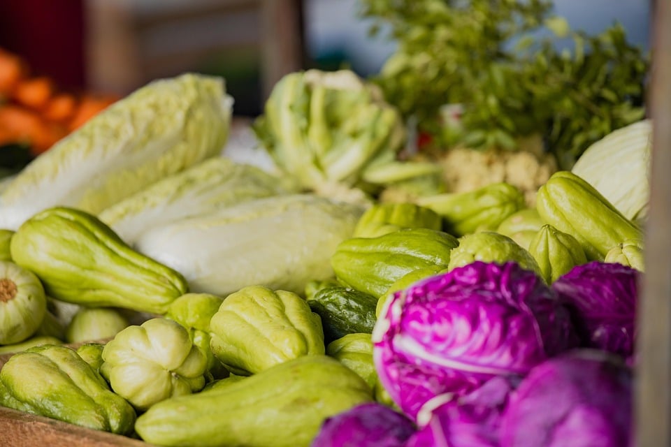 healty food diet women