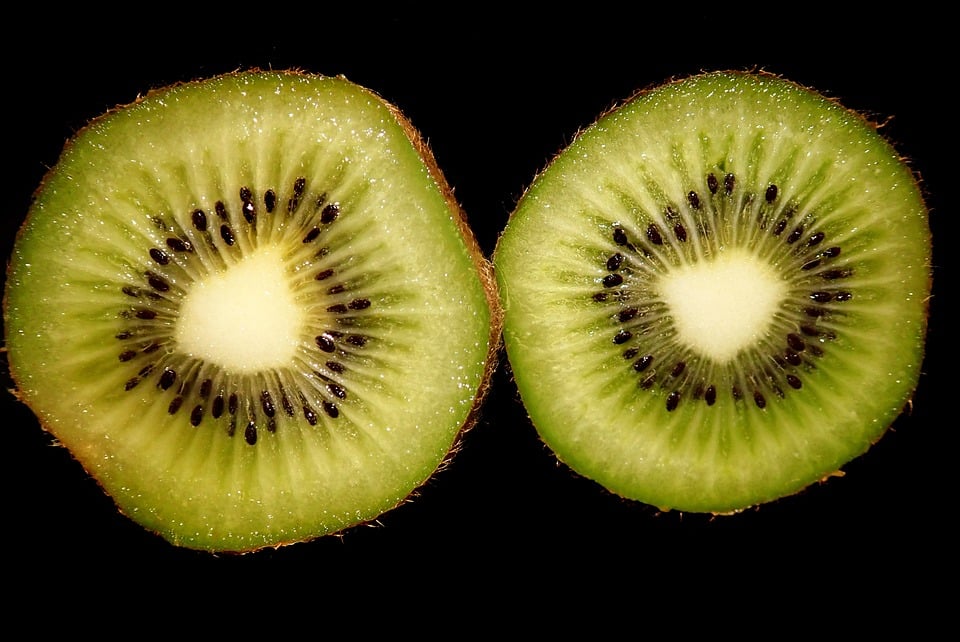 healty food diet women