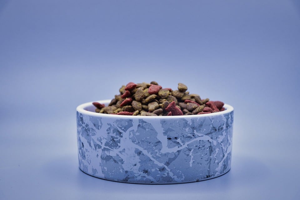 healty food diet women