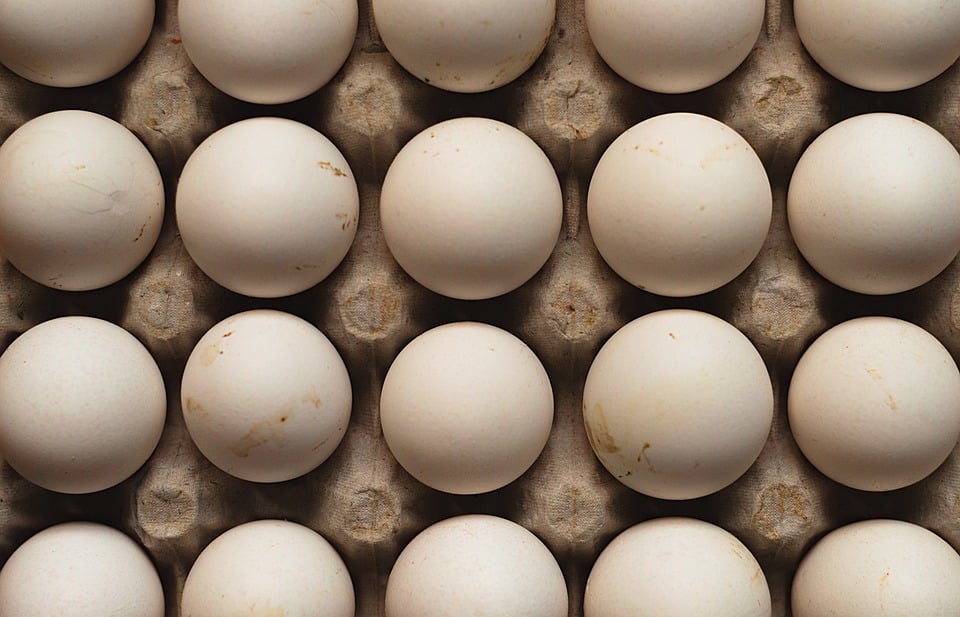 healty food diet women