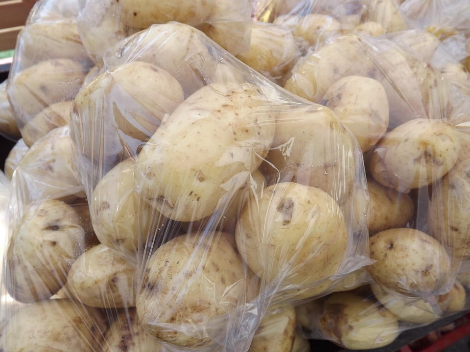 healty food diet women