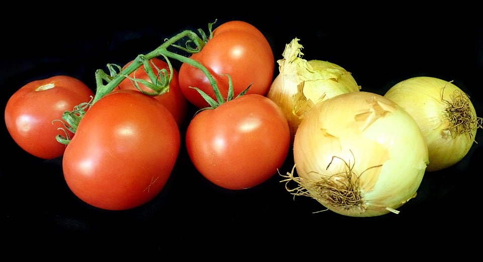 healty food diet women