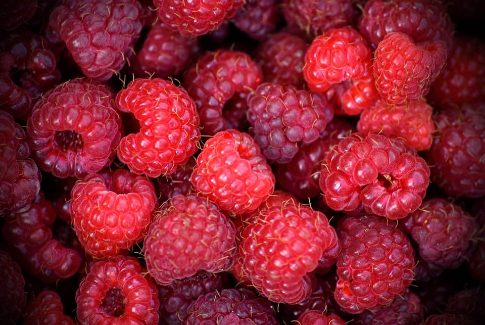 healty food diet women