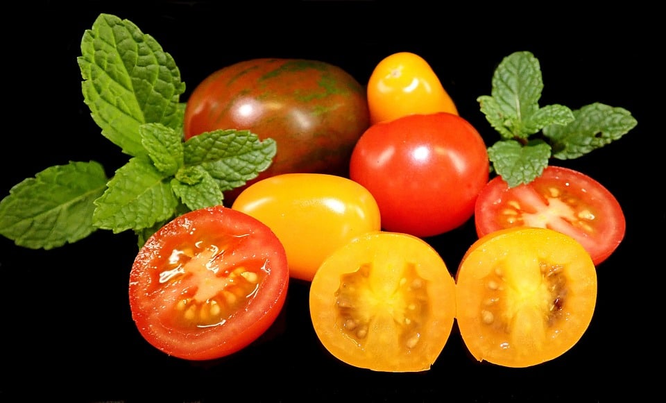 healty food diet women