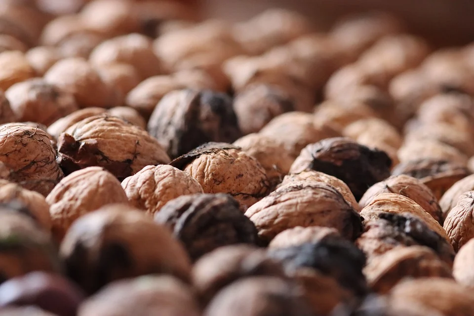 healty food diet women