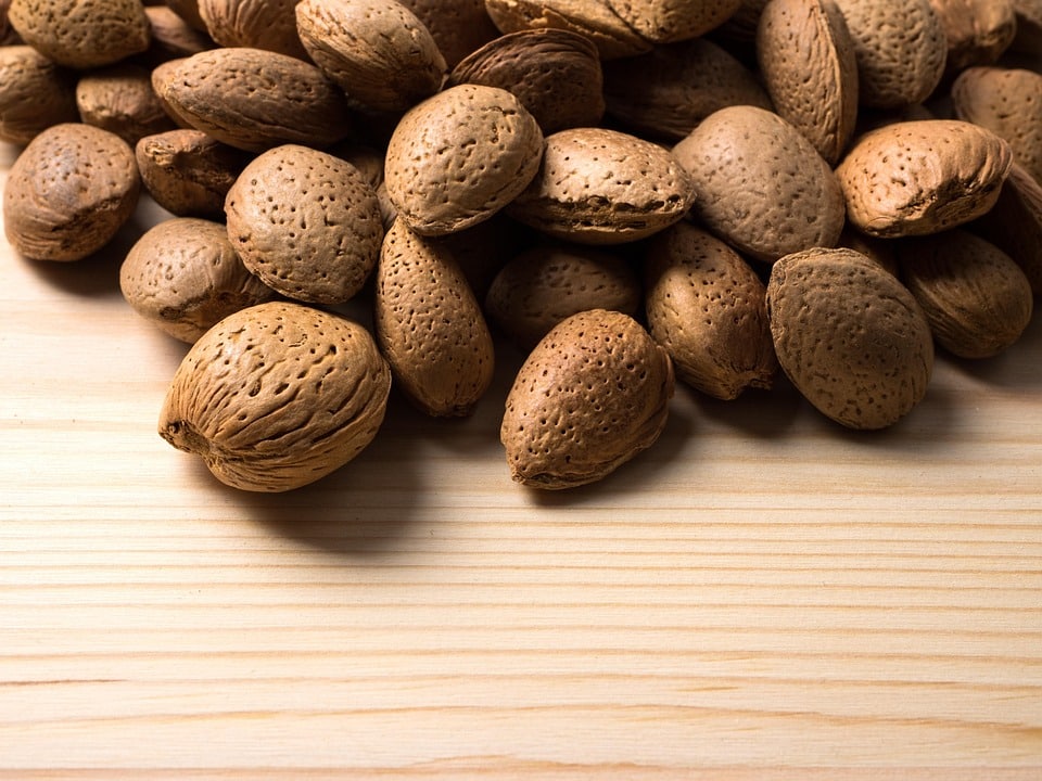 healty food diet women