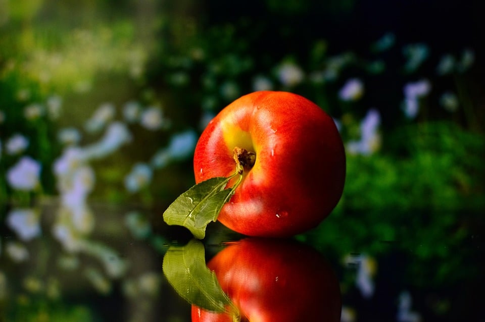 healty food diet women