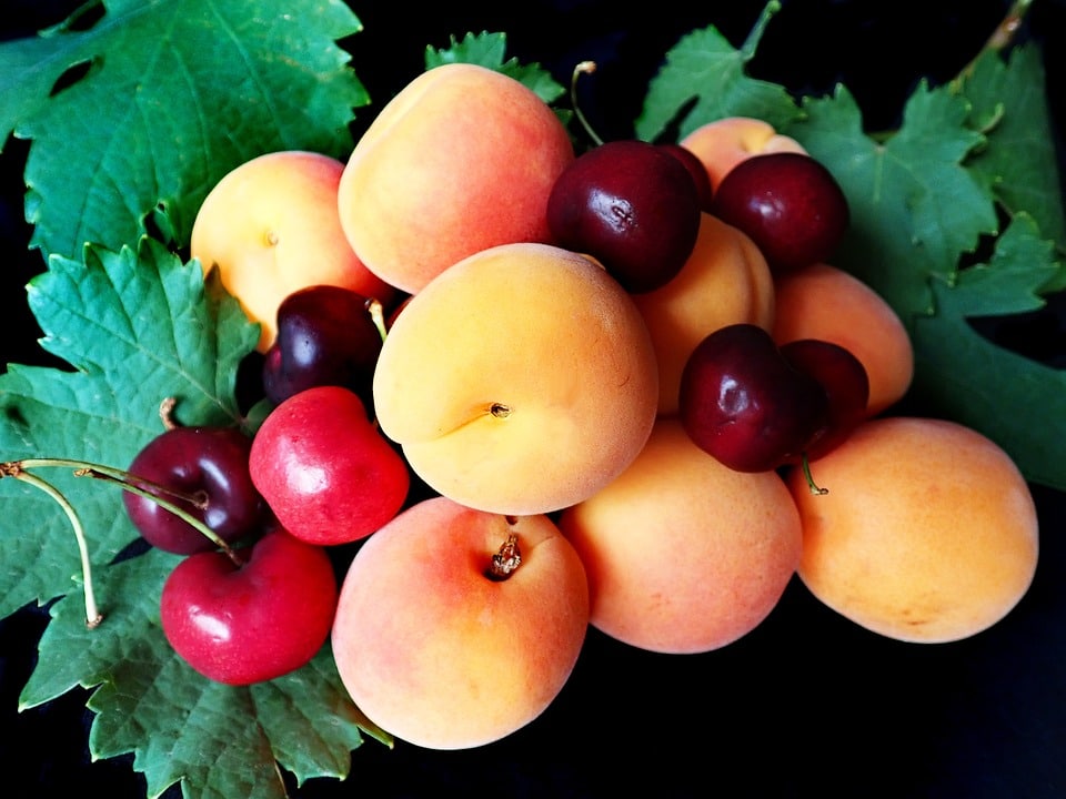 healty food diet women