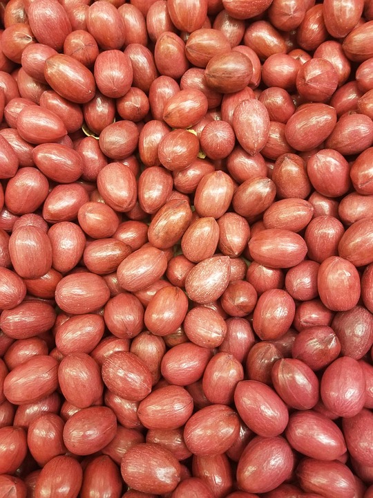 healty food diet women